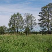 Dsc 0167