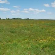 Dsc 0205