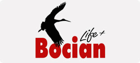 Ochrona Bociana Białego