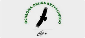 http://www.orlikkrzykliwy.pl/