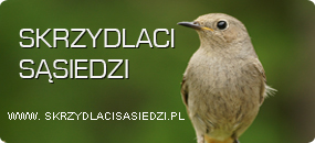 SkrzydlaciSasiedzi.pl