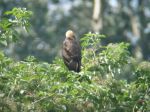 fot. Tomek Kułakowski