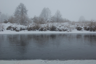 narew zimą