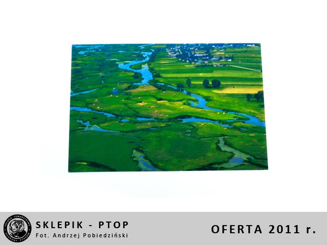 sklepik_ptop_20