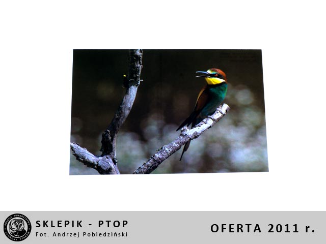 sklepik_ptop_22