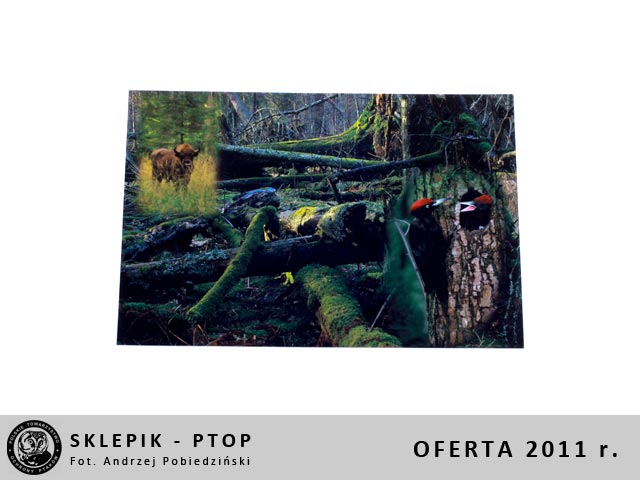 sklepik_ptop_27