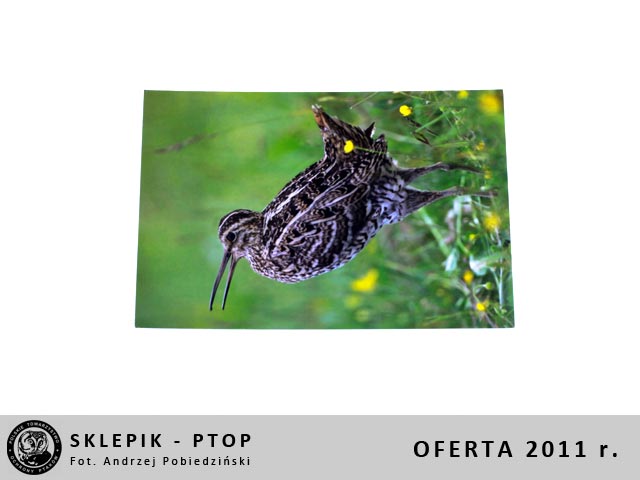 sklepik_ptop_28
