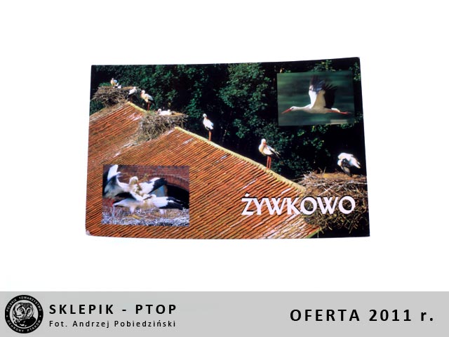 sklepik_ptop_30