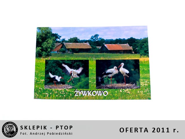 sklepik_ptop_31