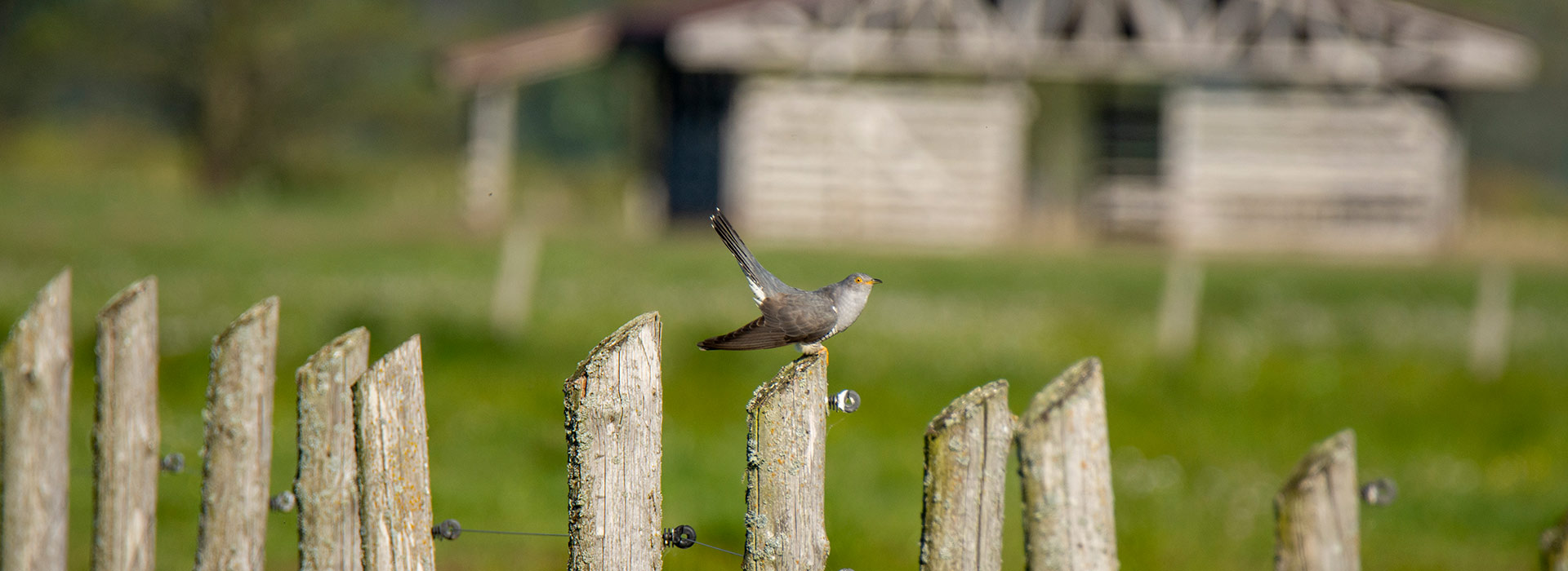 Dolina Górnej Narwi