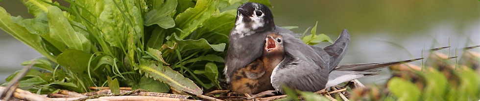 Informacja o projekcie