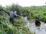 Ręczne oczyszczanie starorzeczy Narwi, fot. PTOP