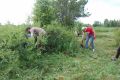 7. Usuwanie roślinności zacieniającej brzozę niską. Fot. M. Potocka