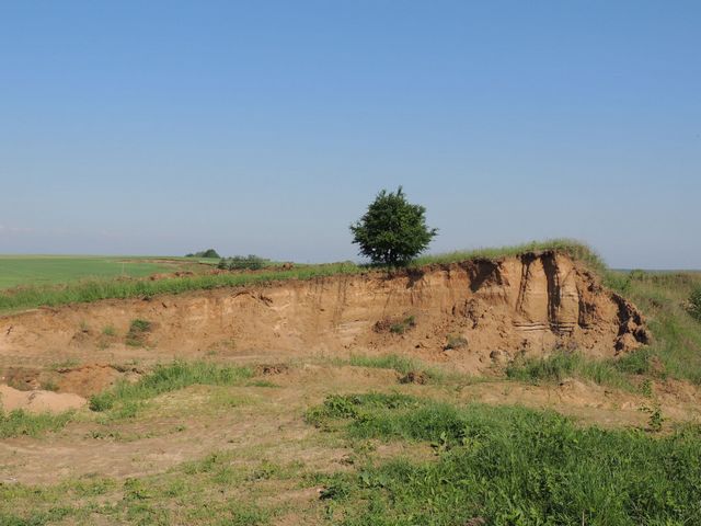 Nowe_stanowisko_A.Zbyryt