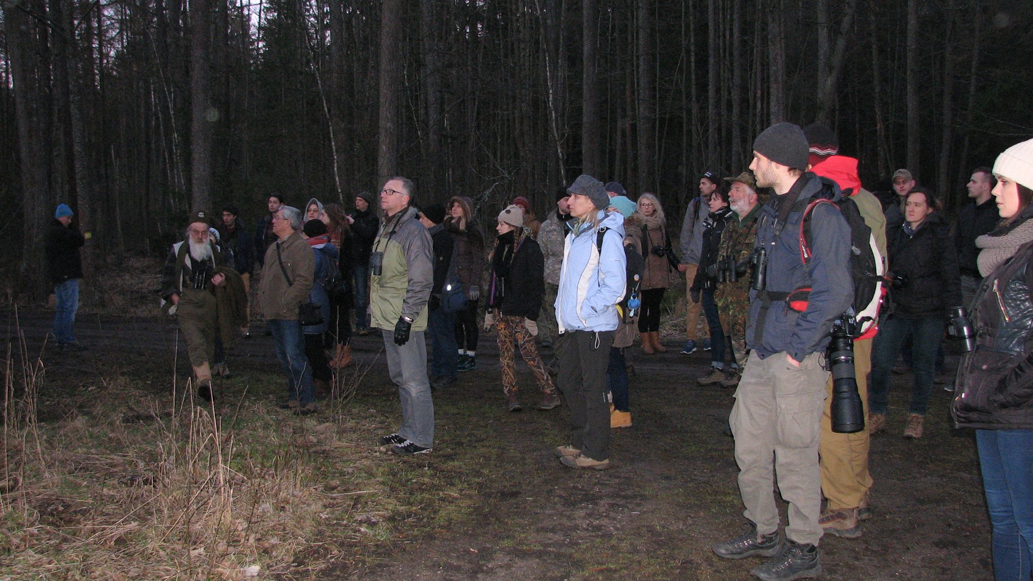 Wieczorna wycieczka na sóweczkę (fot. K Zaborowska)