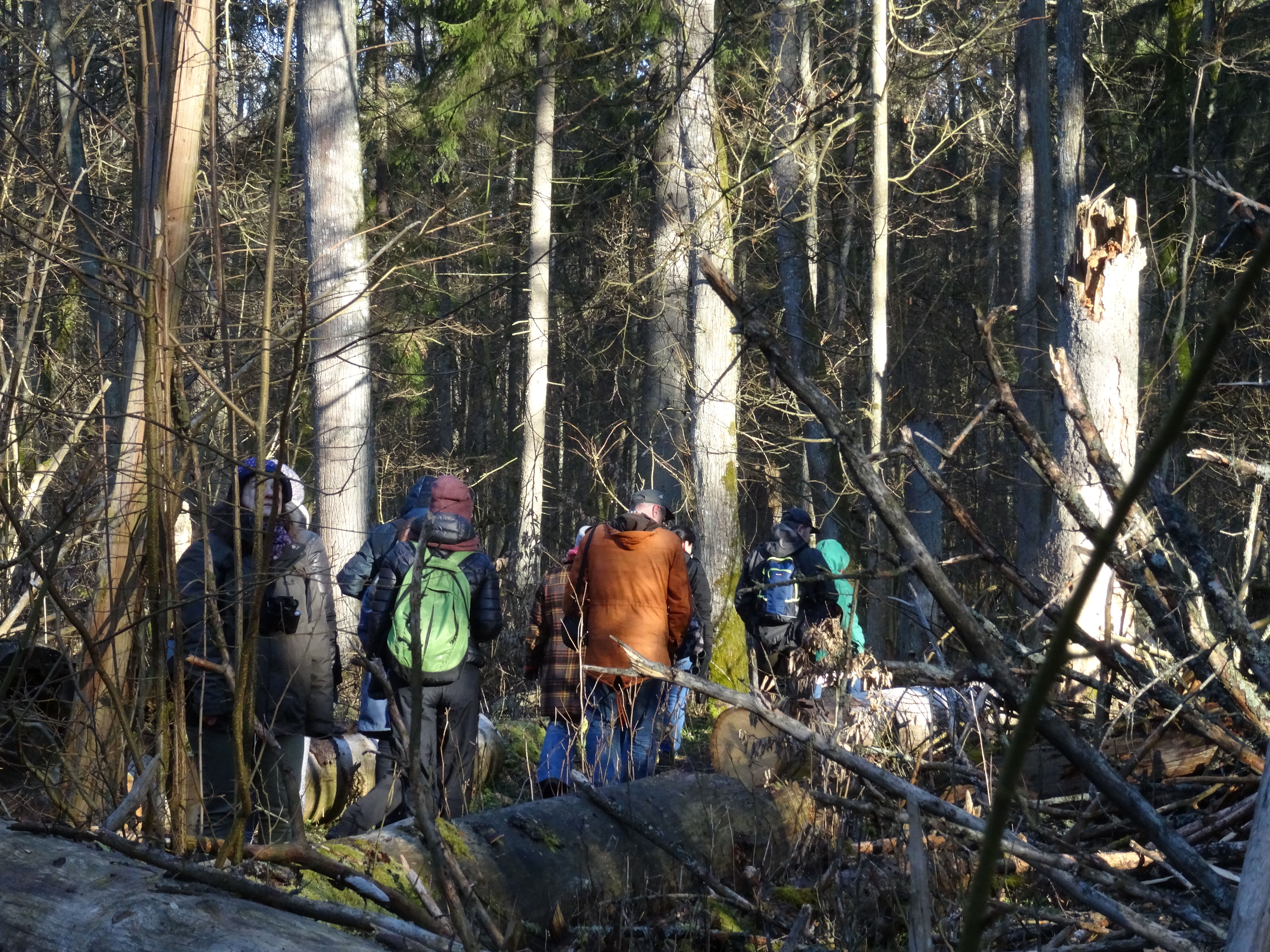 Jedna z czterech grup zwiedzających Obszar Ochrony Ścisłej