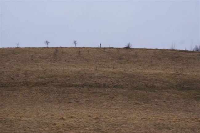Bocian leci, sprzątnij śmieci! 