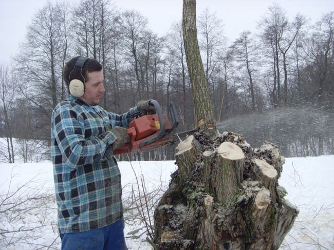 Akcja Wierzba - relacja 