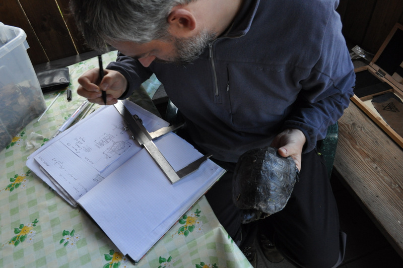 Rozpoczyna się dokładne mierzenie.