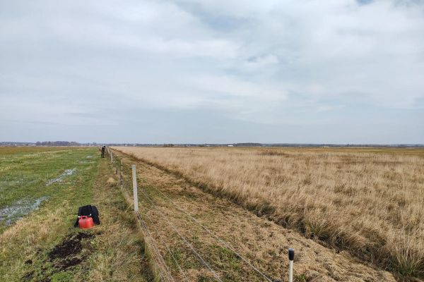 Listopad przyniósł nam mgły i mżawkę, w mieście powietrze pachnie spalenizną.