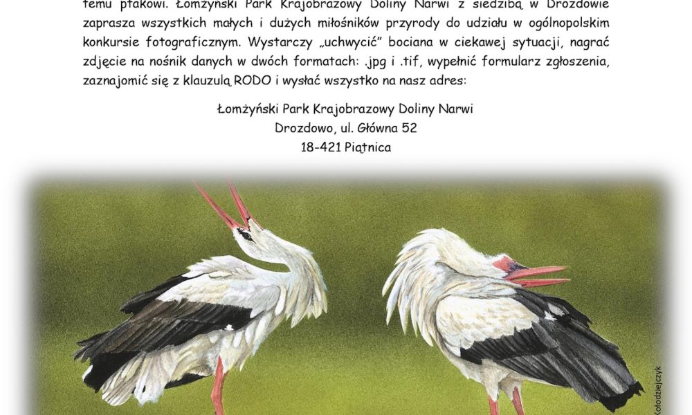 Zapraszamy do wzięcia udziału w konkursie fotograficznym!