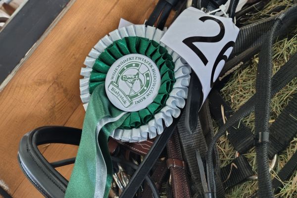 LIFEkulikPL at Regional Livestock Exhibition