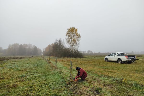Nowy płot na zimowych pastwiskach!