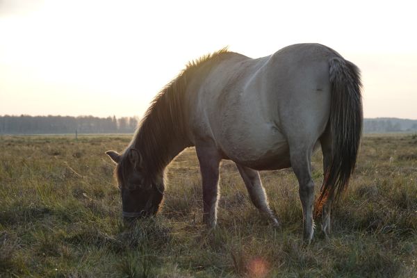 Na Podlasiu już babie lato i poranne przymrozki