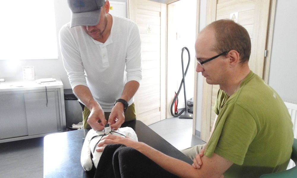 Śledzimy bociany leczone w ośrodku rehabilitacji w Biebrzańskim Parku Narodowym na Grzędach