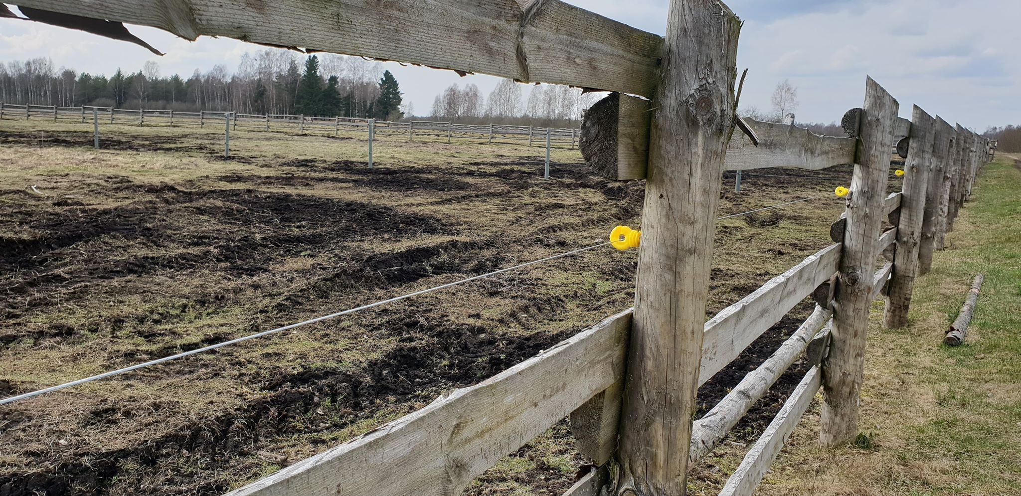 Remontujemy ogrodzenia wokół pastwisk