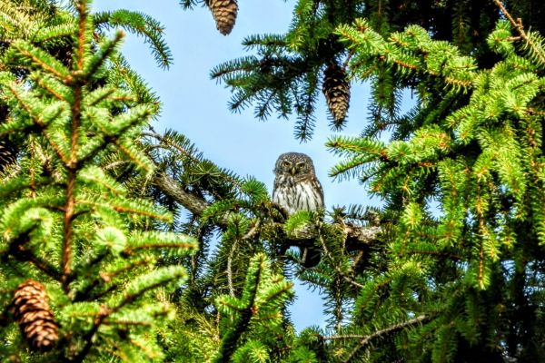 Zjazd członków PTOP