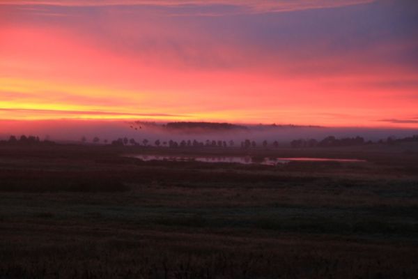 Żuraw rośnie w siłę - kolejny rekord!