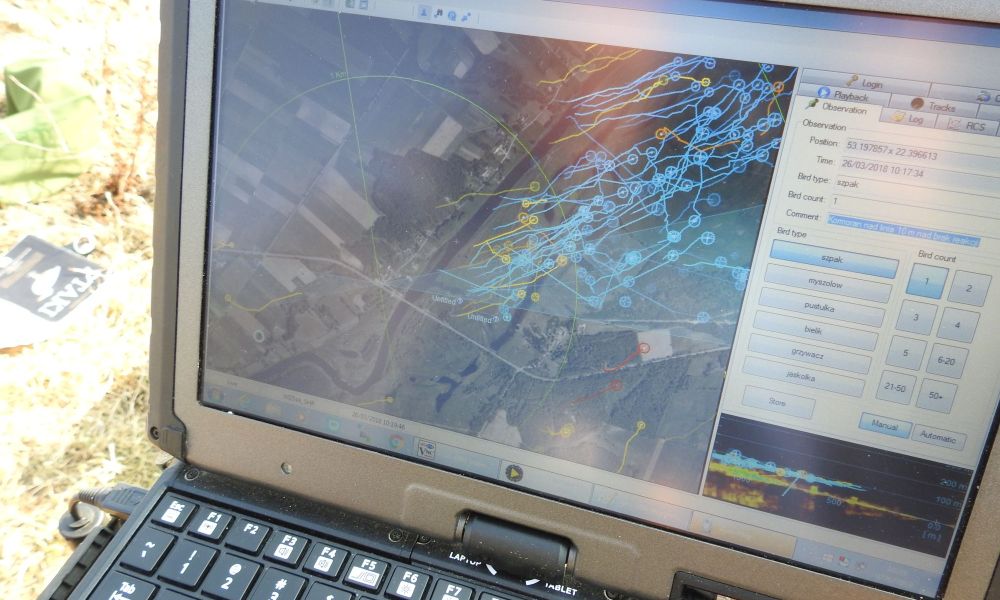 Badania radarowe przelotu ptaków nad liniami energetycznym D.1