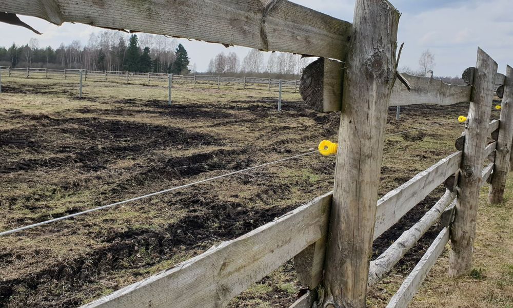 Remontujemy ogrodzenia wokół pastwisk