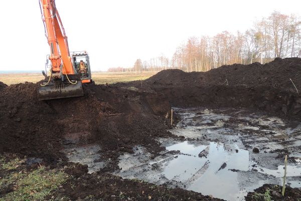 Zwiększamy bazę żerowiskową dla orlików