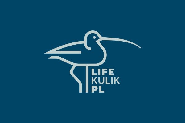 Our new "Curlew" project