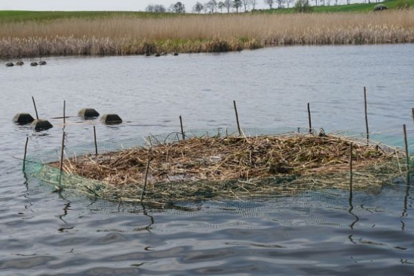 2020 - wodowanie platform