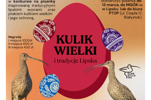 Konkurs - Kulik wielki i tradycje Lipska!