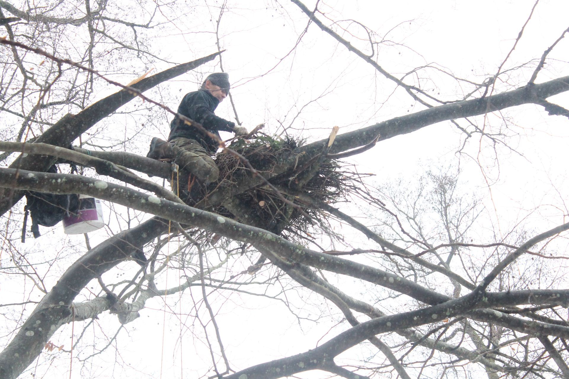 Kolejne platformy dla bociana czarnego gotowe