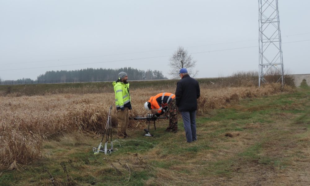 Linie wysokiego napięcia bezpieczne dla ptaków!