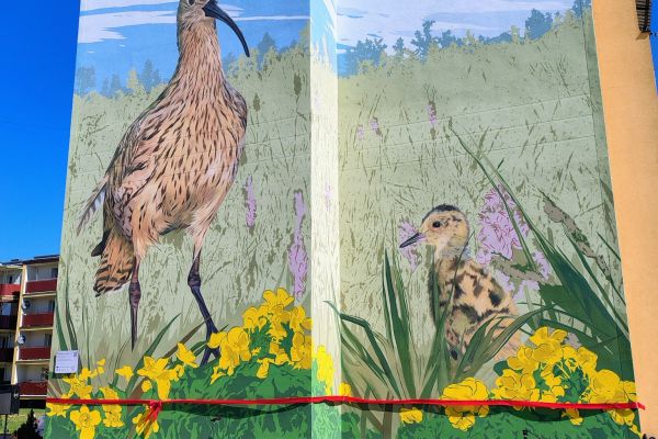 UNVEILING OF THE MURAL IN GONIĄDZ