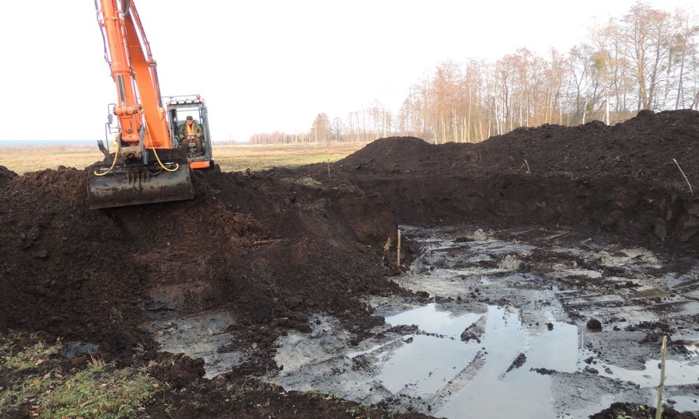 Zwiększamy bazę żerowiskową dla orlików