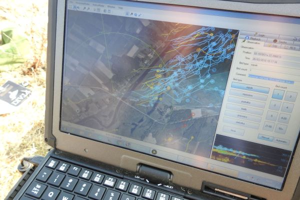 Badania radarowe przelotu ptaków nad liniami energetycznym D.1